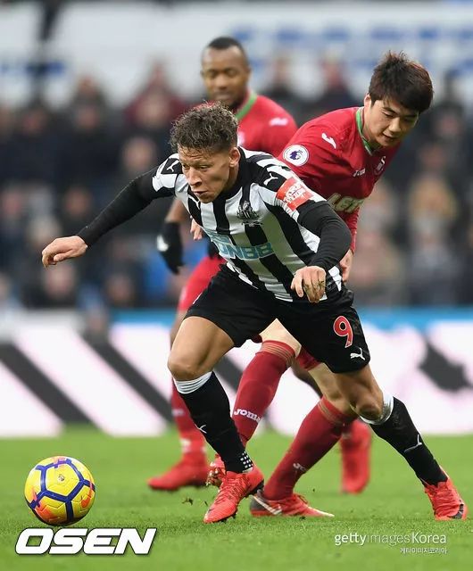 韩国队绝杀波兰队，波尔状态火热