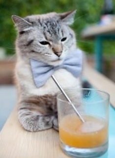 三球爆发之夜,步行者提前终结悬念,拉梅洛连续得分拉开差距