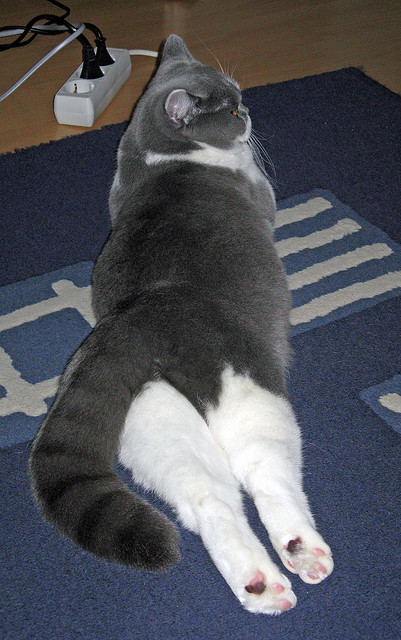 撕咬48分钟后的窒息末节，澳大利亚用铁血防守夺走奥运门票