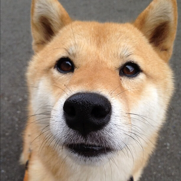 当德国心脏为西班牙跳动，基米希临危救主，黄潜艇补时绝杀苏格兰风暴