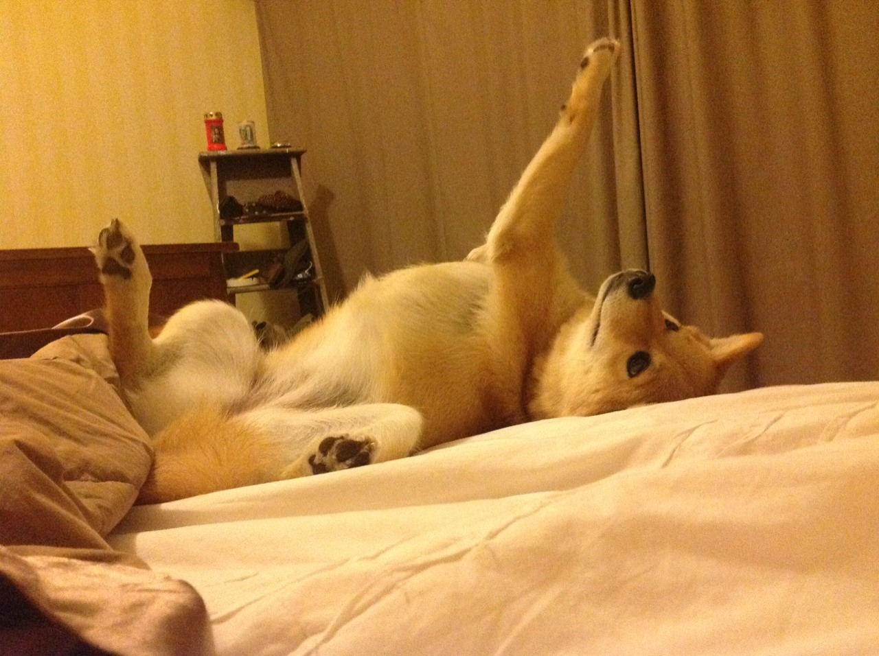 雷火电竞充值-破局者，当芬兰单节击碎英格兰式逆转，布雷默改写北欧足球命运