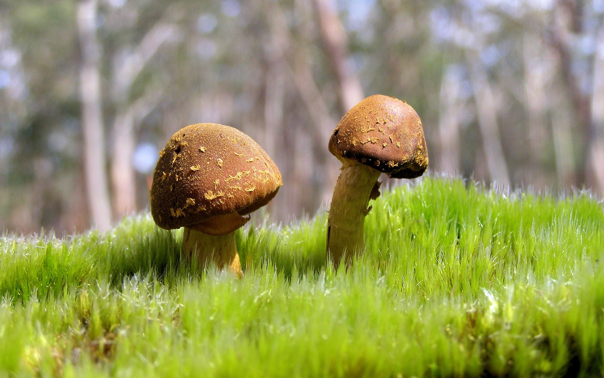 巴尔韦德的节奏掌控与韩国的压哨绝杀,一场中场艺术与终极韧性的对决