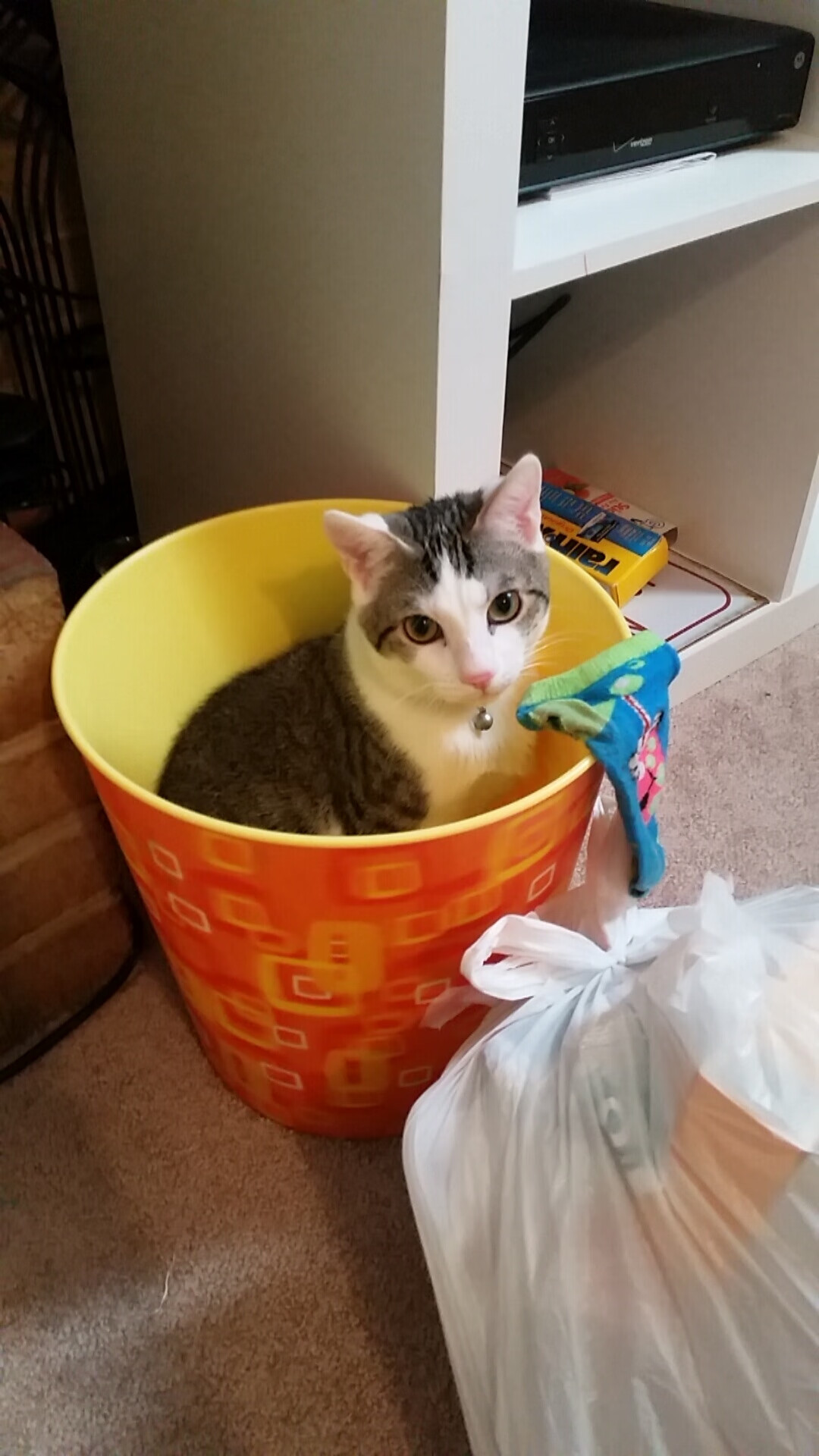 太空城逆袭绿军,绝境之下,布克射落关键先生之名