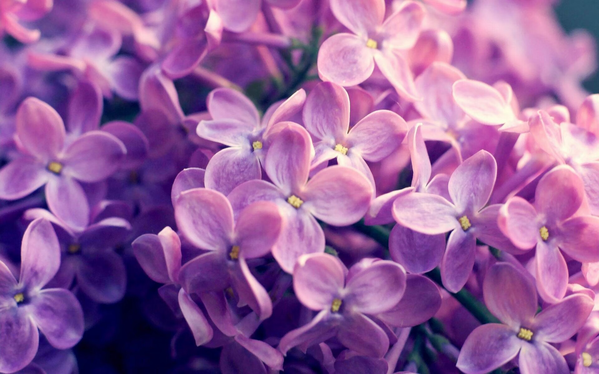 跨越时空的绿茵交响，德甲争冠鏖战与哥斯达黎加-尼斯的文化碰撞