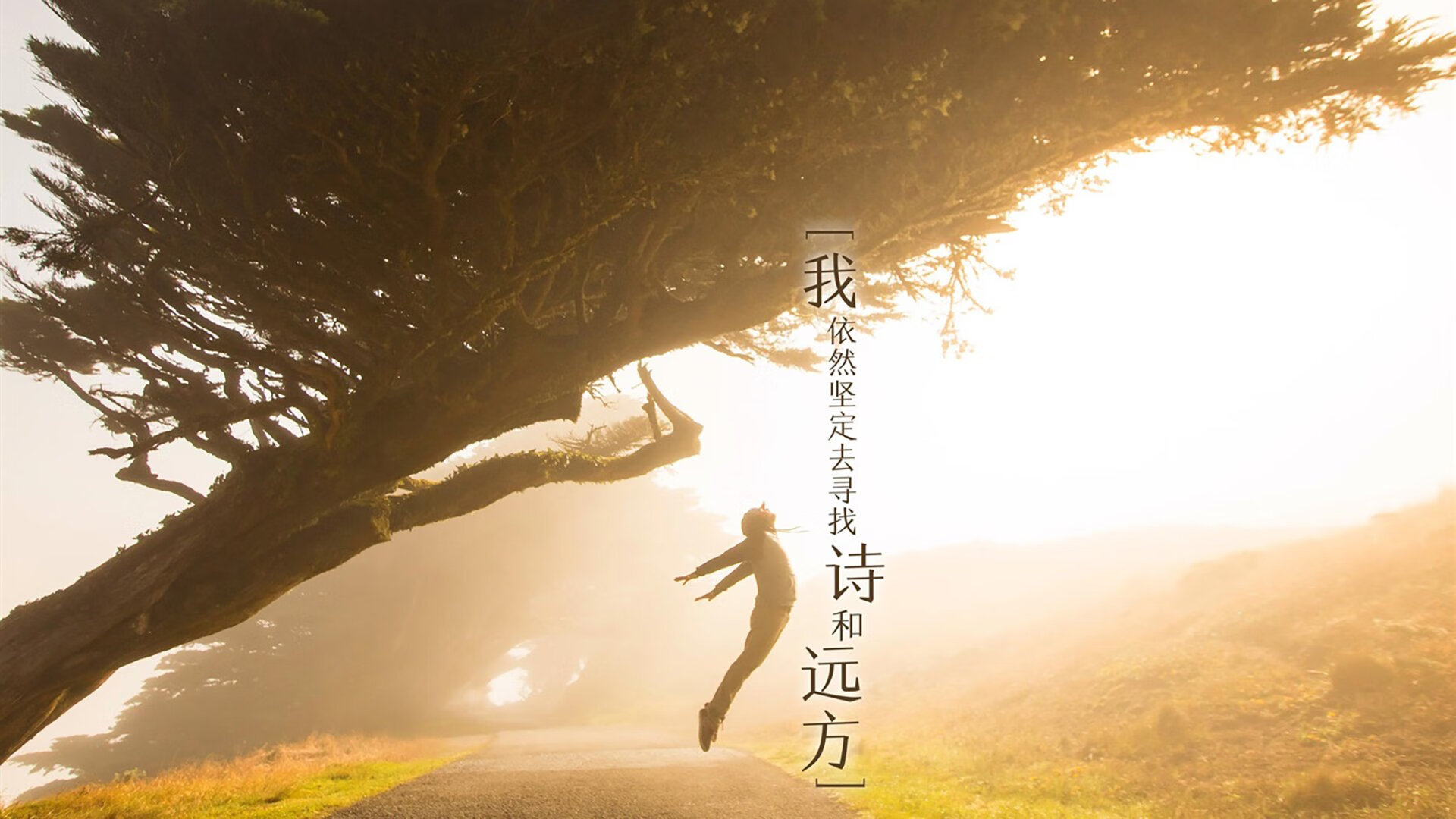 那个成为齿轮的夜晚